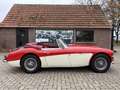 Austin-Healey 3000 BJ7, 1963 Rot - thumbnail 5
