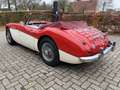 Austin-Healey 3000 BJ7, 1963 Rot - thumbnail 9