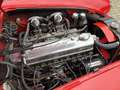 Austin-Healey 3000 BJ7, 1963 Rot - thumbnail 18