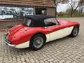 Austin-Healey 3000 BJ7, 1963 Rot - thumbnail 19