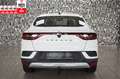 Renault Arkana 1.3 TCE 2-SITZ*CARGO*VAN*INTENS*NAVI*AHK* Blanco - thumbnail 7