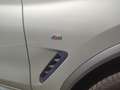 BMW X4 X4 xdrive 30d mhev 48V Msport 249 cv auto! Argento - thumbnail 6