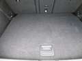 Volkswagen Golf VIII 1.5 TSI OPF Life Klima Einparkhilfe Wit - thumbnail 16