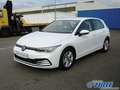 Volkswagen Golf VIII 1.5 TSI OPF Life Klima Einparkhilfe Wit - thumbnail 1