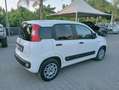 Fiat Panda Panda 1.0 hybrid 70cv serie 4 E6d Bianco - thumbnail 8