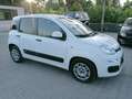 Fiat Panda Panda 1.0 hybrid 70cv serie 4 E6d Bianco - thumbnail 4