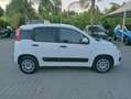 Fiat Panda Panda 1.0 hybrid 70cv serie 4 E6d Bianco - thumbnail 9