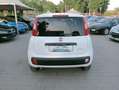 Fiat Panda Panda 1.0 hybrid 70cv serie 4 E6d Bianco - thumbnail 6