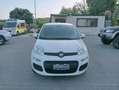 Fiat Panda Panda 1.0 hybrid 70cv serie 4 E6d Bianco - thumbnail 1