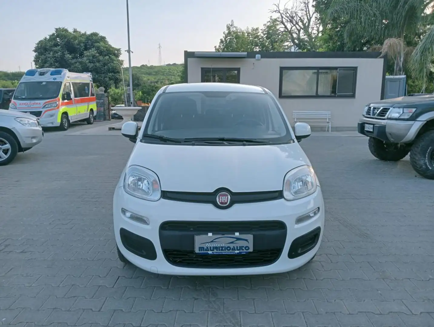 Fiat Panda Panda 1.0 hybrid 70cv serie 4 E6d Bianco - 1