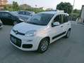 Fiat Panda Panda 1.0 hybrid 70cv serie 4 E6d Bianco - thumbnail 2