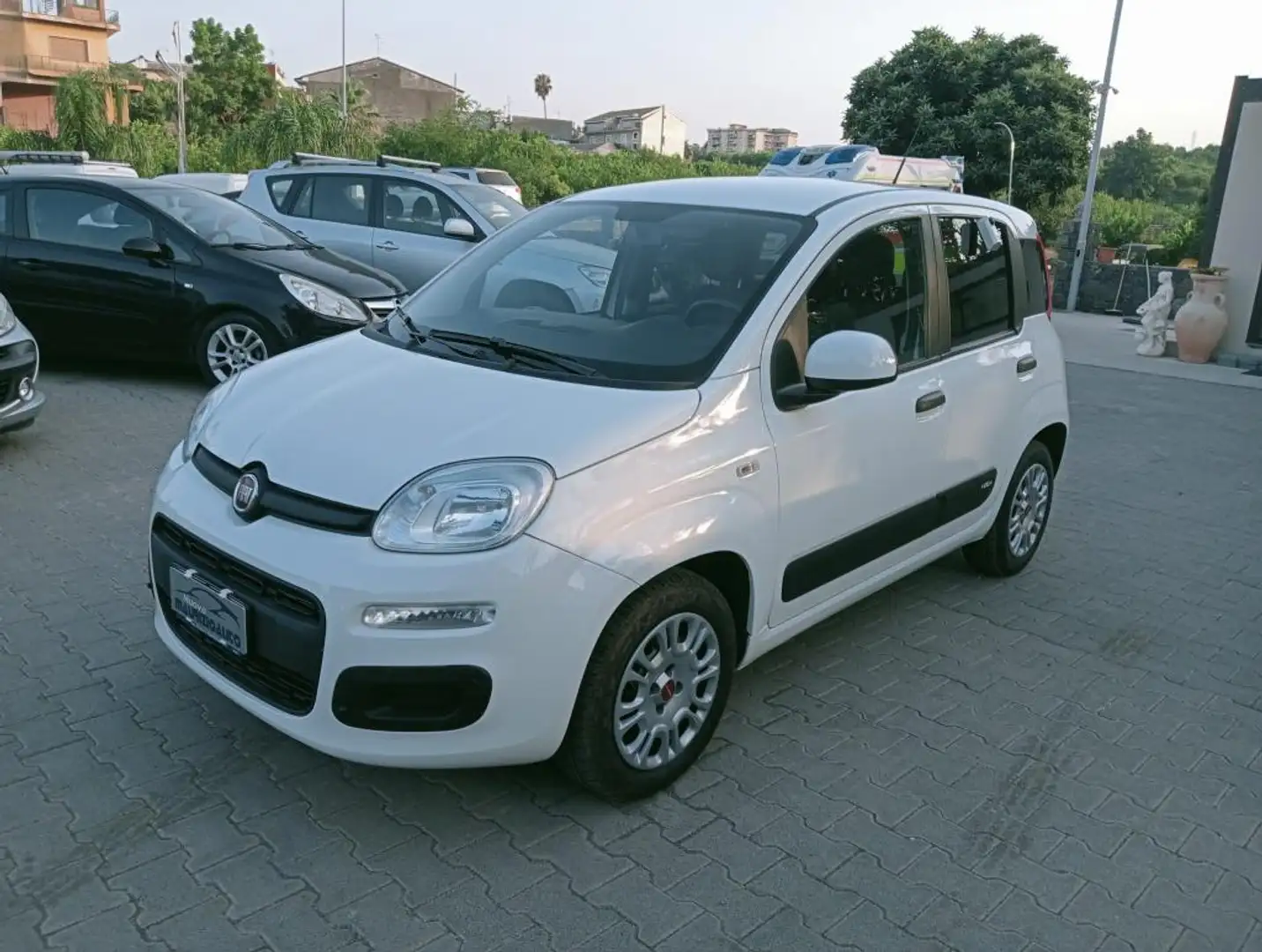 Fiat Panda Panda 1.0 hybrid 70cv serie 4 E6d Bianco - 2