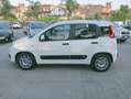 Fiat Panda Panda 1.0 hybrid 70cv serie 4 E6d Bianco - thumbnail 10