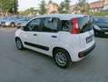 Fiat Panda Panda 1.0 hybrid 70cv serie 4 E6d Bianco - thumbnail 7