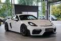 Porsche Cayman 718 GT4 Clubsport *Vollschale *S-Abgas Alb - thumbnail 5