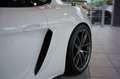 Porsche Cayman 718 GT4 Clubsport *Vollschale *S-Abgas Alb - thumbnail 10