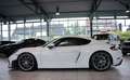 Porsche Cayman 718 GT4 Clubsport *Vollschale *S-Abgas Blanc - thumbnail 16