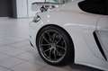 Porsche Cayman 718 GT4 Clubsport *Vollschale *S-Abgas Alb - thumbnail 12