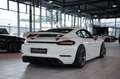 Porsche Cayman 718 GT4 Clubsport *Vollschale *S-Abgas Alb - thumbnail 13