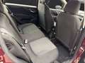 Fiat Punto 1,2 69 Easy Rot - thumbnail 12