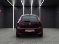 Fiat Punto 1,2 69 Easy Rot - thumbnail 15
