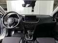 Kia Ceed / cee'd ceed 1,5 TGDI Gold 48V DCT | Stahl Wien 22 Blanc - thumbnail 9