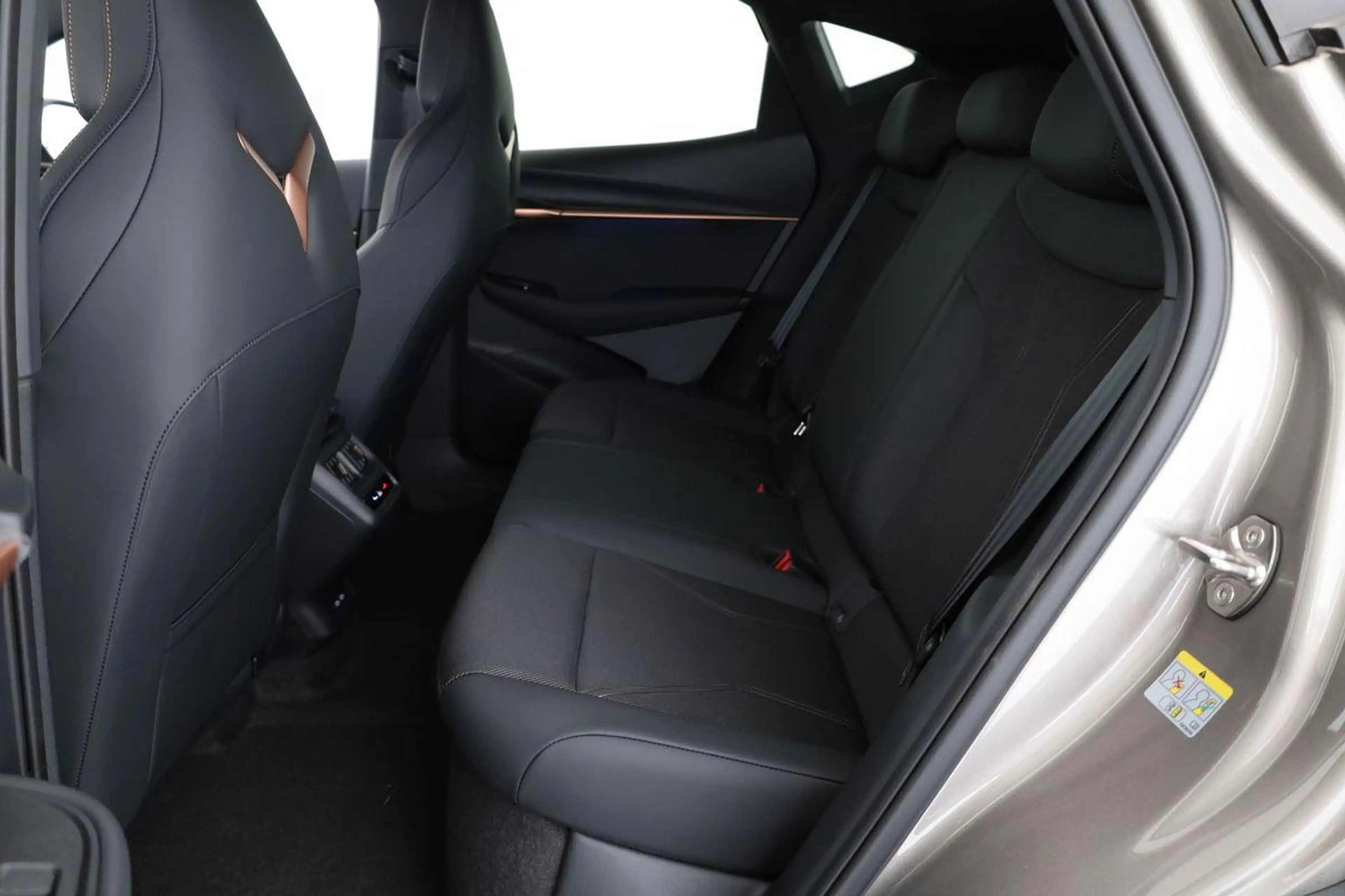 CUPRA Tavascan 210 kW Endurance, Navi, Wärmepumpe, Kamera, el. Kl — photo 12
