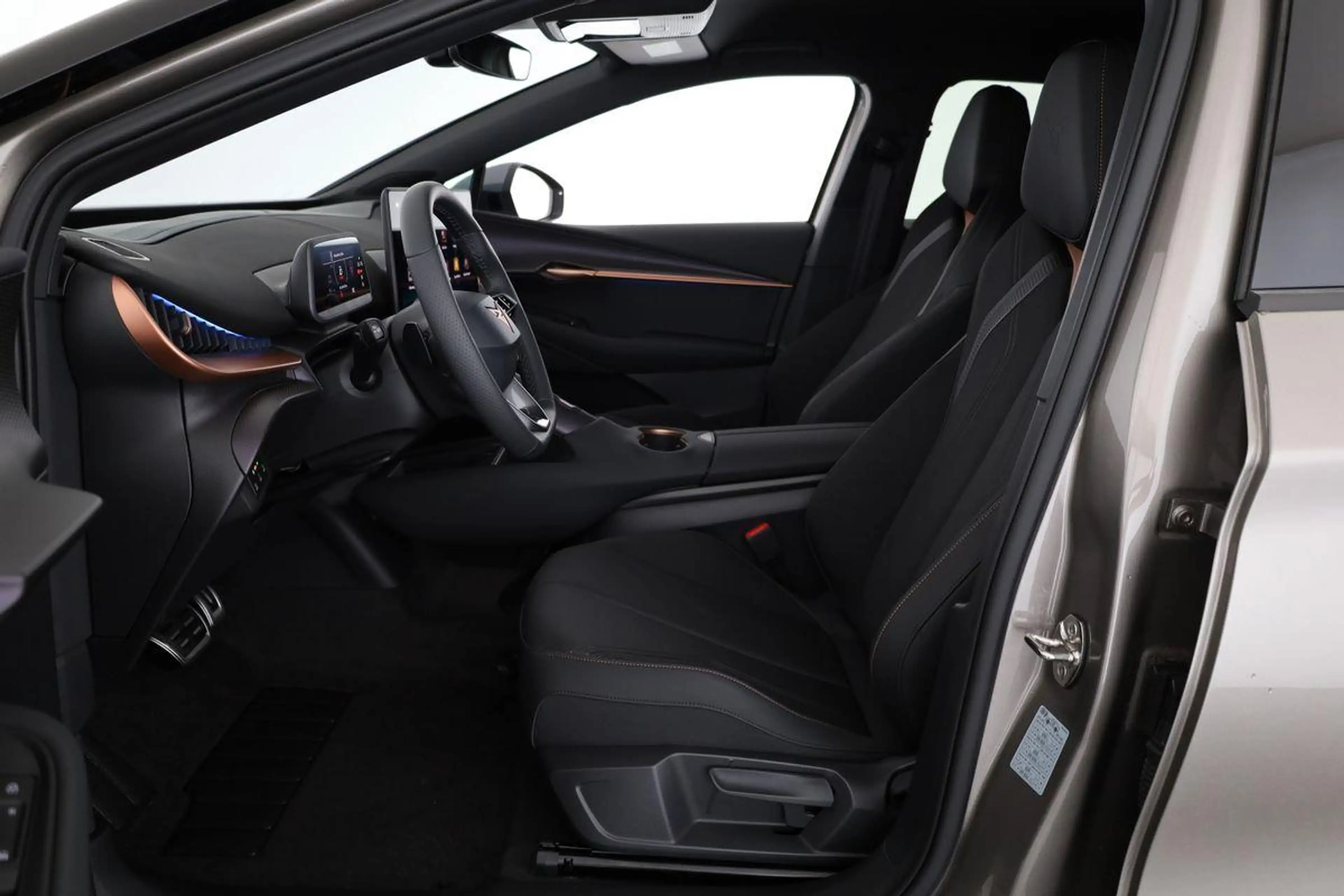 CUPRA Tavascan 210 kW Endurance, Navi, Wärmepumpe, Kamera, el. Kl — photo 11