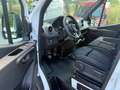 Mercedes-Benz Sprinter 317  Mixto Maxi L3,6-Sitzer,Kamera Weiß - thumbnail 7