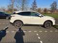 Nissan Qashqai 1.3 MHEV Xtronic N-Connecta | Panoramadak | Trekha Wit - thumbnail 13