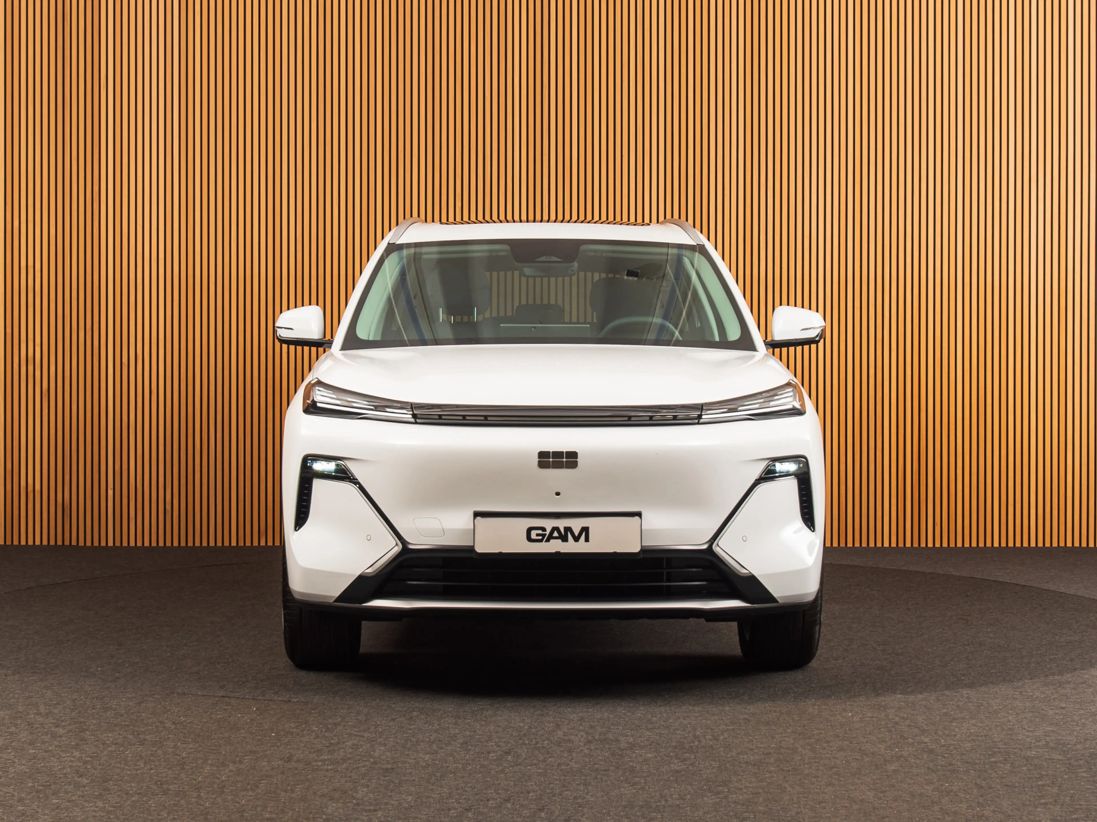 Geely Starray EM-i 1.5 Max+ PANO I 19 INCH I HUD | MEMORY | MASSAGE — photo 8