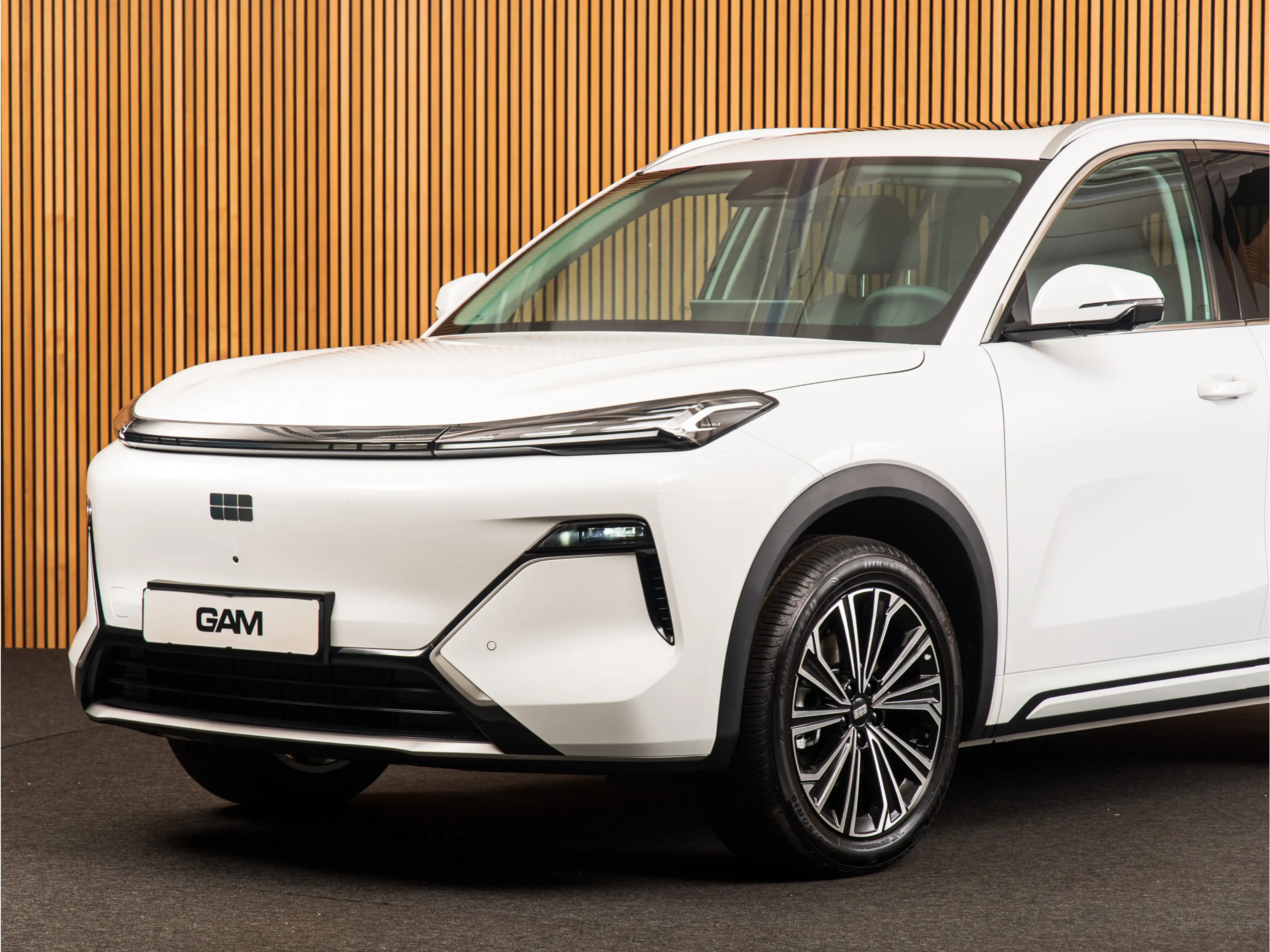 Geely Starray EM-i 1.5 Max+ PANO I 19 INCH I HUD | MEMORY | MASSAGE — photo 10