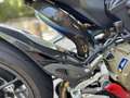 Ducati Panigale V2 Bayliss Anniversary Червоний - thumbnail 9
