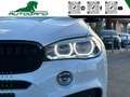 BMW X6 xDrive30d 258CV Msport Full oltre 20k di accessori Bianco - thumbnail 12