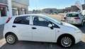 Fiat Grande Punto Grande Punto 5p 1.3 mjt 16v Emotion 75cv AUTOCARRO Bianco - thumbnail 3