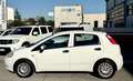 Fiat Grande Punto Grande Punto 5p 1.3 mjt 16v Emotion 75cv AUTOCARRO Bianco - thumbnail 4
