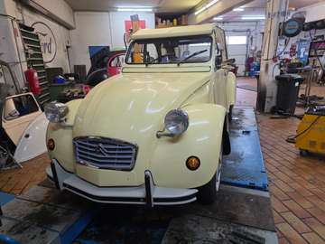 6 Club verzinktes Chassis 1Jahr Gewährleistung