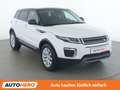 Land Rover Range Rover Evoque 2.0 Sd4 SE Weiß - thumbnail 8