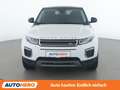 Land Rover Range Rover Evoque 2.0 Sd4 SE Weiß - thumbnail 9