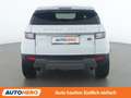 Land Rover Range Rover Evoque 2.0 Sd4 SE Weiß - thumbnail 5
