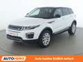 Land Rover Range Rover Evoque 2.0 Sd4 SE Weiß - thumbnail 1