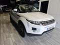 Land Rover Range Rover Evoque 2.2L SD4 Prestige 4x4 190 Aut. Blanco - thumbnail 2