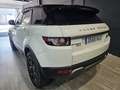 Land Rover Range Rover Evoque 2.2L SD4 Prestige 4x4 190 Aut. Blanco - thumbnail 6