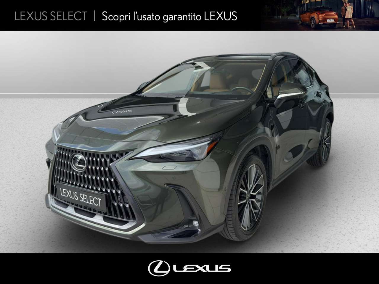 Lexus NX 450h+ 450h+ 2.5 phev luxury 4wd 309cv e-cvt