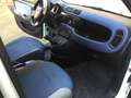 Fiat Panda Twin air natural power Lounge Weiß - thumbnail 3