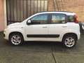 Fiat Panda Twin air natural power Lounge Weiß - thumbnail 9