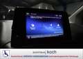 Toyota Proace City City Verso 1.5 D rollstuhlgerecht Grau - thumbnail 7