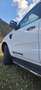 Ford Ranger Ranger Doppelkabine Wildtrak 4x4 2,0 EcoBlue Aut. Wildtrak Weiß - thumbnail 2