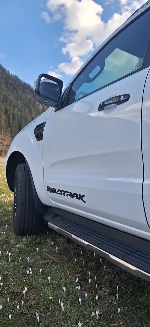 Ford Ranger Ranger Doppelkabine Wildtrak 4x4 2,0 EcoBlue Aut. Wildtrak Weiß - 2
