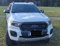 Ford Ranger Ranger Doppelkabine Wildtrak 4x4 2,0 EcoBlue Aut. Wildtrak Weiß - thumbnail 1